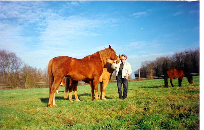 Billard Bernard Pension Pour Chevaux à Luzancy