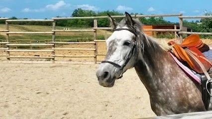 L ECRIN DU CEDON, Centre Equestres à Clermont-Pouyguillès