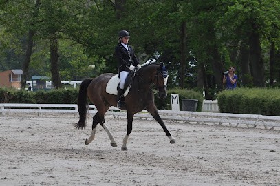 Ecurie de la Madeleine, Pension pour Chevaux à Bournand