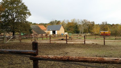 L'ecurie Des 2, Centre Equestres à Ménestreau-en-Villette
