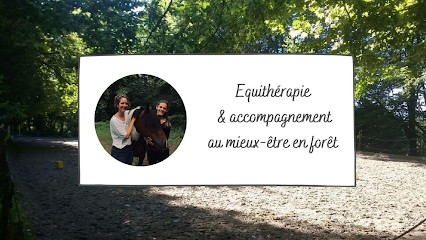 Association Oihaneki, Centre Equestres à Jatxou