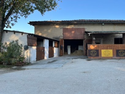 Sourdoire Philippe, Pension pour Chevaux à L'Isle-Jourdain