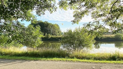 L'écurie d'Orphée, Pension pour Chevaux à Quesnoy-sur-Deûle