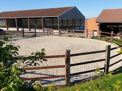 Ecuries de Deux-Villes, Pension pour Chevaux à Mons-en-Pévèle