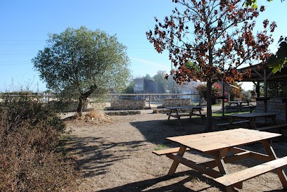 Pony Club De Gouny, Centre Equestres à Seysses
