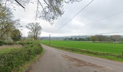 Elevage de Selle Français des Vavres, Centre Equestres à Perreux