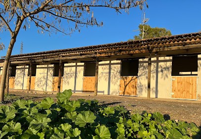 La Petite Écurie Cm Jumping, Centre Equestres à Saint-Blaise
