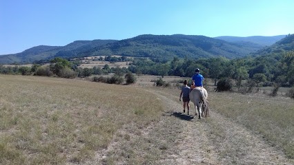 La Ferme Du Roumegas, Centre Equestres à Labruguière