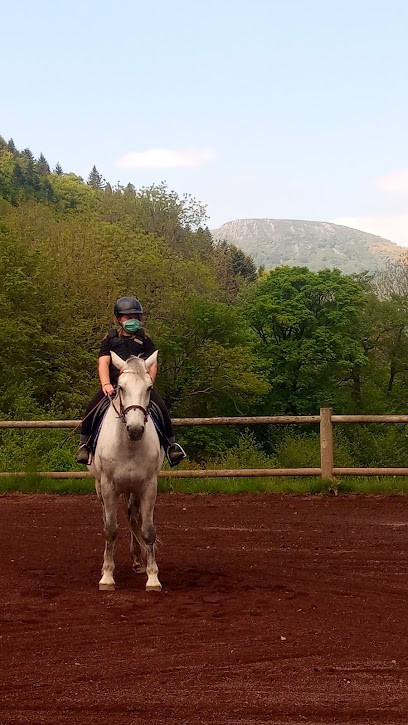 ECURIES DE LA DORDOGNE, Centre Equestres à Mont-Dore