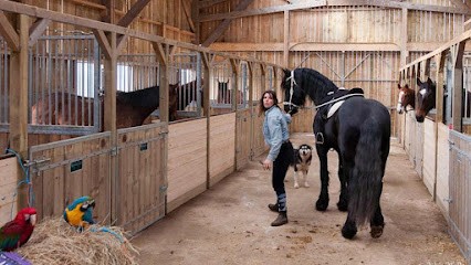 HARAS DU MOULIN, Pension pour Chevaux à Allonnes