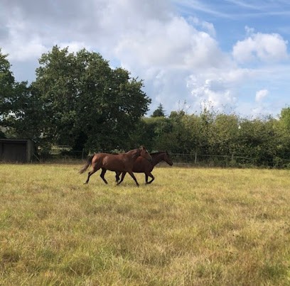 Ecurie les sabots d'or, Pension pour Chevaux à Sainte-Luce-sur-Loire