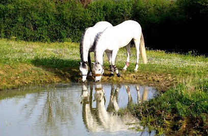 Ecurie Des Marronniers, Centre Equestres à Louhans