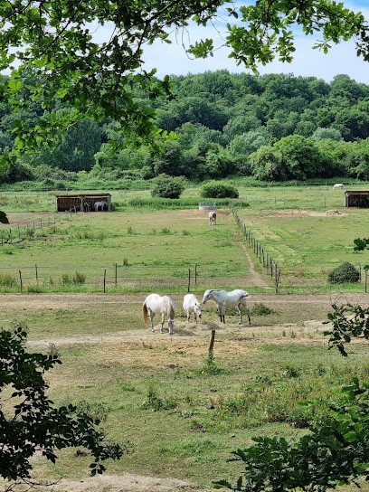 PONEY CLUB LES EYMARIES, Centre Equestres aux Eyzies-de-Tayac-Sireuil