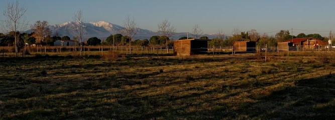Ecuries des fontaines, Pension pour Chevaux à Saint-Génis-des-Fontaines