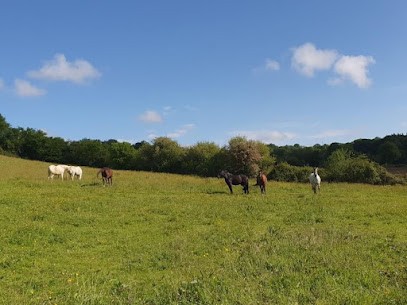 Laus creek ranch, Pension pour Chevaux à Ogenne-Camptort
