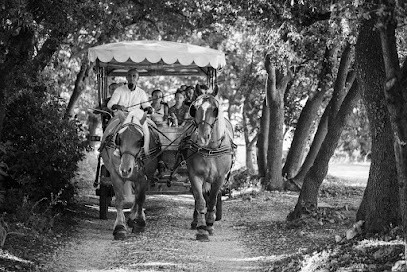 Les Chemins Du Pont Du Gard, Centre Equestres à Saint-Hilaire-d'Ozilhan