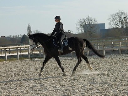 Les Ecuries D'akila, Centre Equestres à Vinneuf