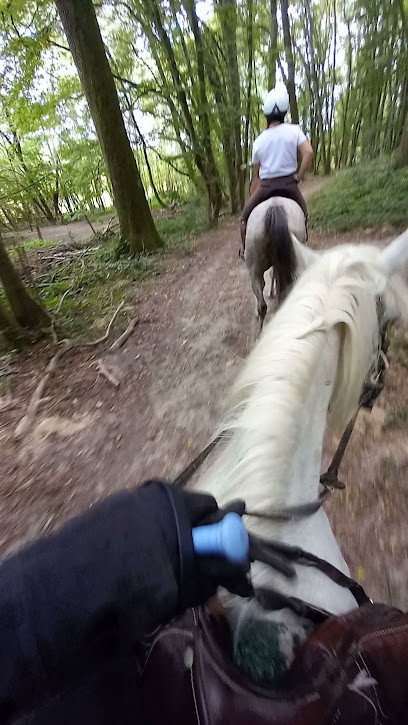 CENTRE EQUESTRE DE LA GRANGE MARTIN, Centre Equestres à Gif-sur-Yvette
