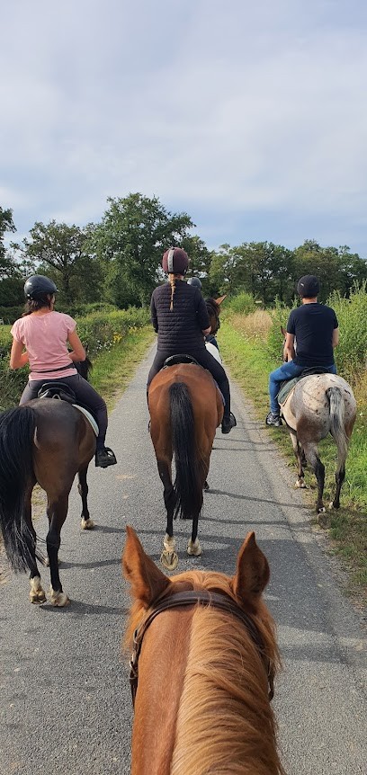 Ranch du Foussat, Centre Equestres à Droux