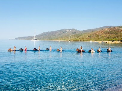 Fior di Lezza Cupabia baignade à cheval, Centre Equestres à Serra-di-Ferro