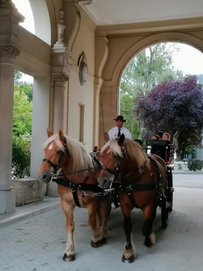 Ecurie du Pramier, Pension pour Chevaux à Martinvelle