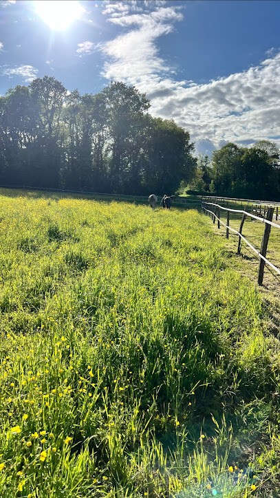 Haras des coudrets, Centre Equestres à Villiers-sur-Morin