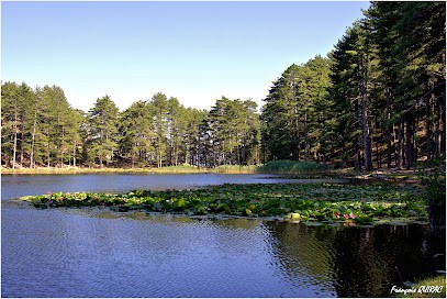 Promenade à Cheval En Corse, Centre Equestres à Poggiolo