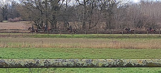 domaine équestre d'Iselay, Pension pour Chevaux à Groslée-Saint-Benoit