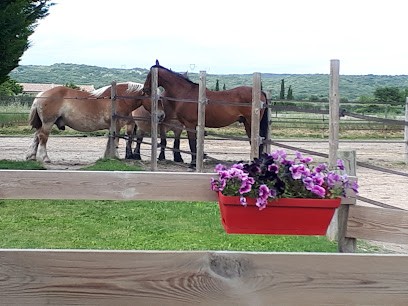 Ecurie Laurie école d’attelage Foulon Adrien, Centre Equestres à Saint-Hilaire-d'Ozilhan