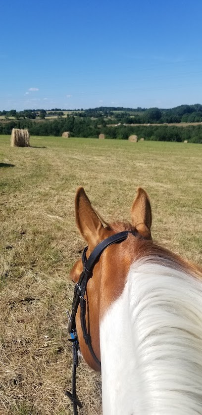 Stud De La Salmonière, Centre Equestres à Montrevault-sur-Èvre