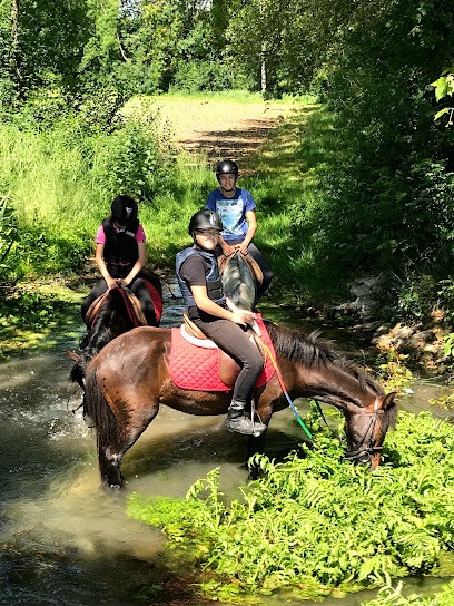 ECURIE DU VAL DE SEUGNE, Centre Equestres à Jonzac
