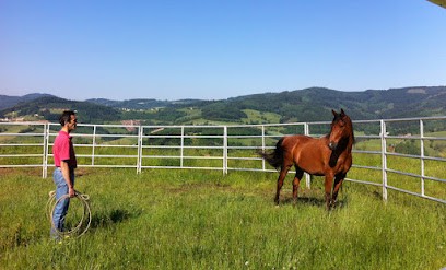 Jerome Dumont, Centre Equestres à Gleizé