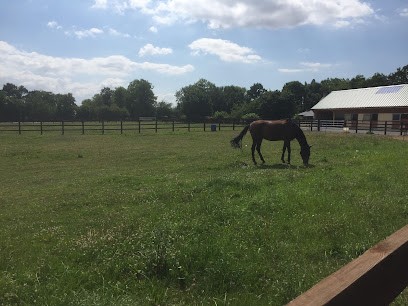 HARAS DES BRUYERES, Pension pour Chevaux à Janville