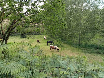 Les Sabots De L'horn Pension Pour Chevaux à Saint-Pol-de-Léon