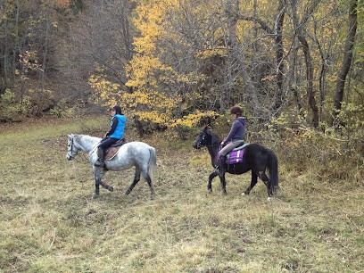 La Cavale Des Prés Equestrian Center Ouvert L'été - Ecurie Owners - Val Des Prés, Centre Equestres à Val-des-Prés