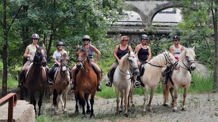 Les Cavaliers Du Luminaryo, Centre Equestres à Escales