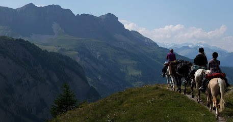 Manes Aux Vents, Centre Equestres à Allevard