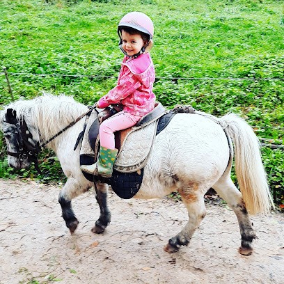 Centre Equestre du Royans, Centre Equestres à Saint-Jean-en-Royans