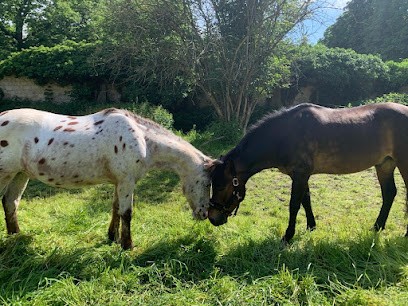 Equestrian Center Du Parc De La Poudrerie, Centre Equestres à Vaujours