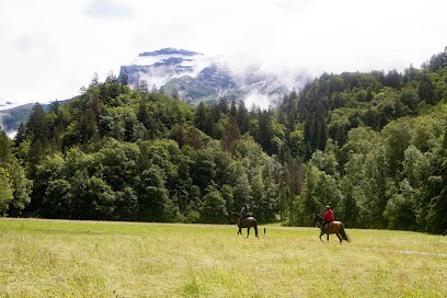 MORZINE EQUITATION, Centre Equestres à Essert-Romand