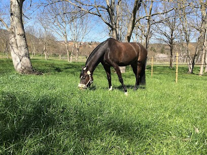 ECURIE DE LAUZ, Pension pour Chevaux à Nohanent