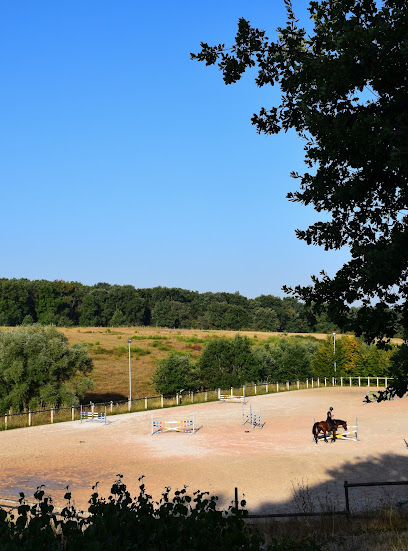 Haras De L'autan Centre Équestre à Lavaur