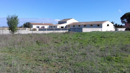 Ecurie Cécile Tartaud, Centre Equestres à Saint-Nazaire-de-Pézan