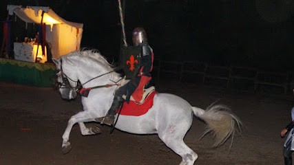 Association Equiloisirs, Centre Equestres à Rouffignac-Saint-Cernin-de-Reilhac