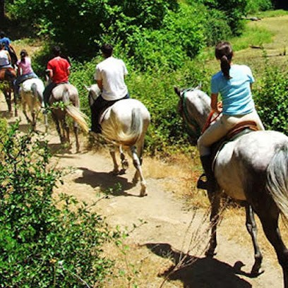 Poney Club Des Landes, Centre Equestres à Saint-Nazaire