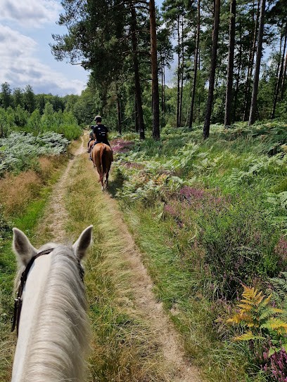Les Écuries De La Vignerie, Centre Equestres à Saint-Léger-en-Yvelines
