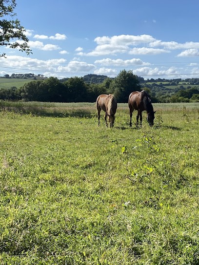 Écurie de Plourac'h, Centre Equestres à Plourac'h