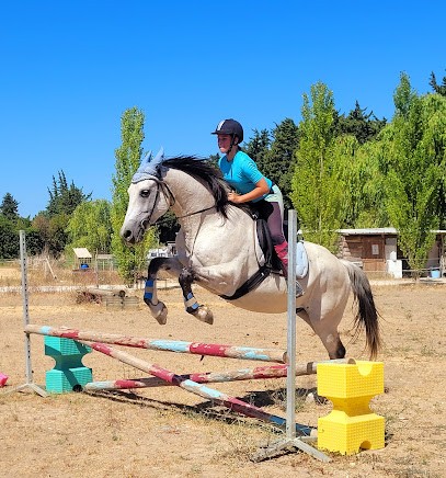 Ecurie L'isle Aux Chevaux, Centre Equestres à L'Isle-sur-la-Sorgue