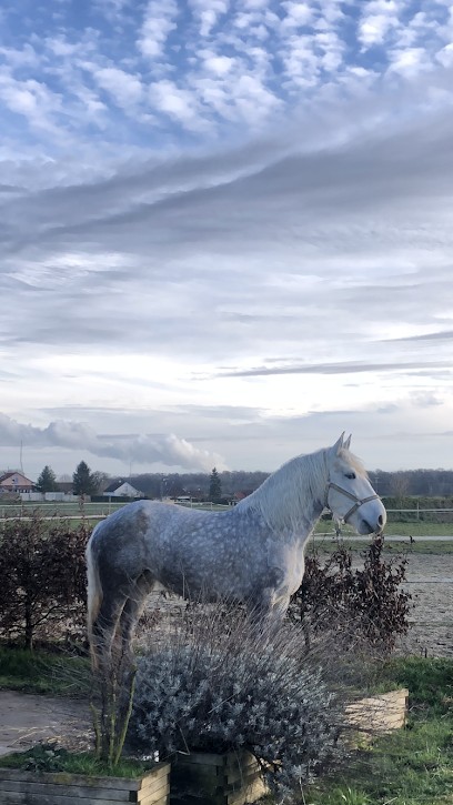 Écurie Des Lys, Centre Equestres à Villiers-Saint-Georges