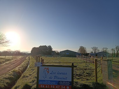 Les Écuries De Plancoët, Centre Equestres à Plancoët